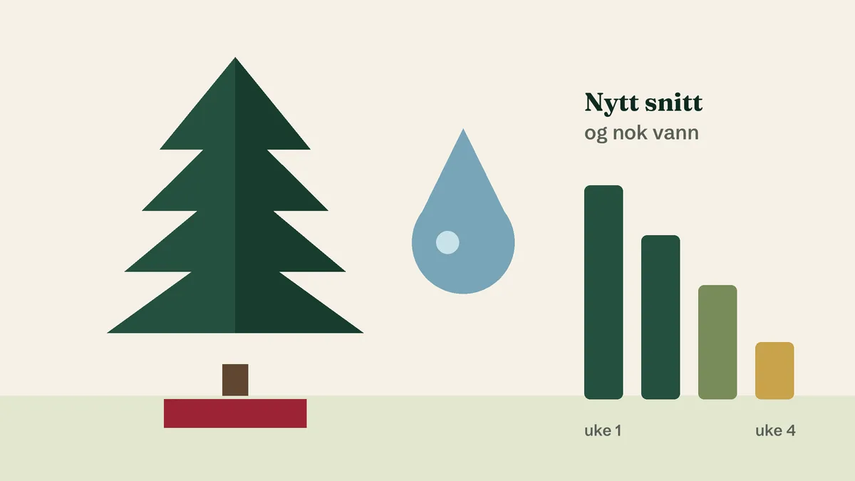 Illustrasjon av et juletre ved siden av en vanndråpe og søyler som blir lavere uke for uke