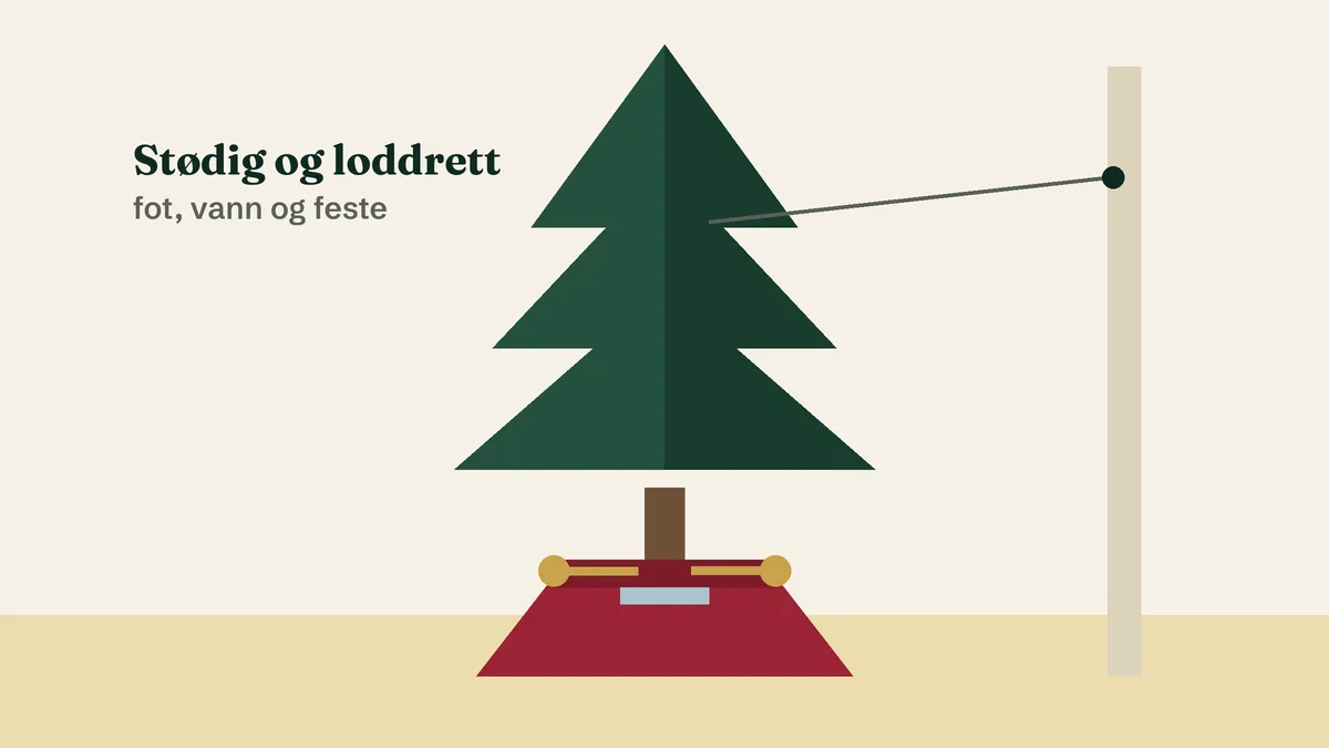 Illustrasjon av et juletre i en rød juletrefot med festeskruer, sikret med en snor til veggen