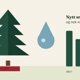 Illustrasjon av et juletre ved siden av en vanndråpe og søyler som blir lavere uke for uke